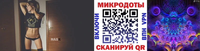 Галлюциногенные грибы прущие грибы  Великие Луки 